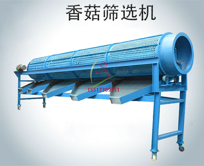 香菇篩選機|馬蹄篩選機